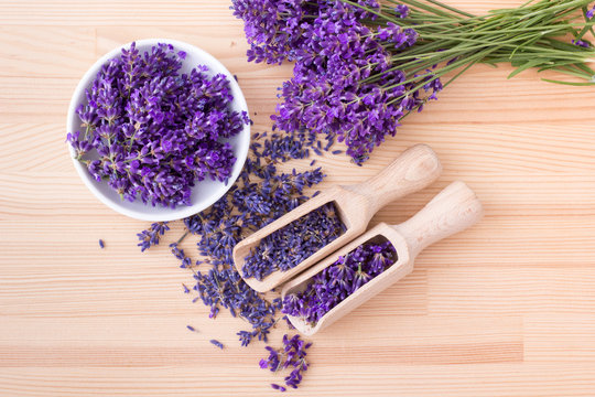 lavender blossoms / Fresh and dried  lavender flowers and bouquet with lavender