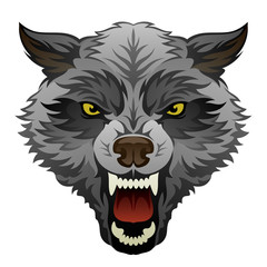 Fototapeta premium Zły głowa wilka na białym tle