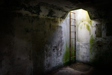 Obraz premium Underground Ladder