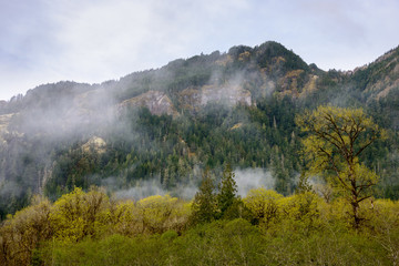 Madison Falls at Olympic National Park