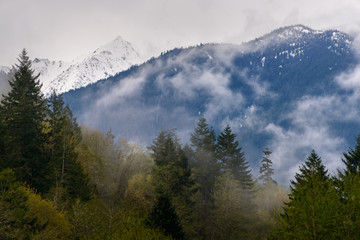 Obraz premium Madison Falls at Olympic National Park
