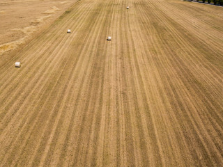 Fototapeta premium Natura e paesaggio: vista aerea di un campo, campo arato, coltivazione, campagna, agricoltura, covoni di fieno, balle di fieno