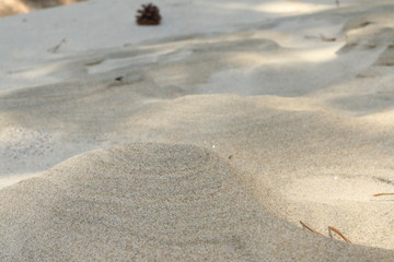 海辺道
