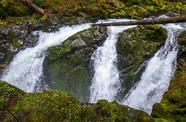 Fototapeta premium Sol Duc Falls trail in Olympic National Park