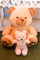 urso de pelúcia