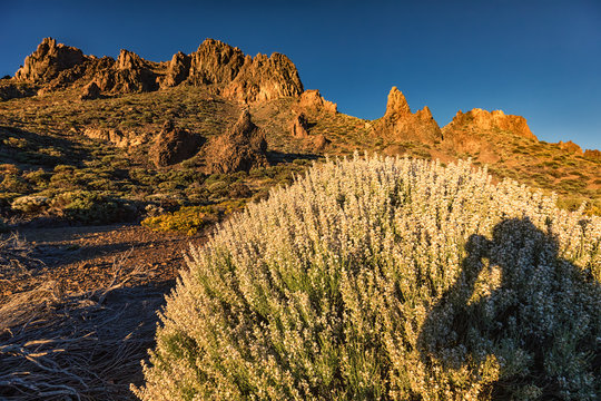Teneriffa, Teide, Boca Tauce
