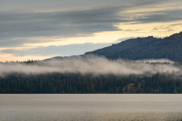 Misty Morning Sunrise, Quinault Rainforest in Olympic National Park