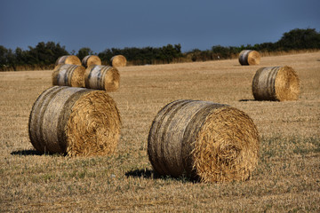 Fototapeta premium Straw bales on farmland with blue sky