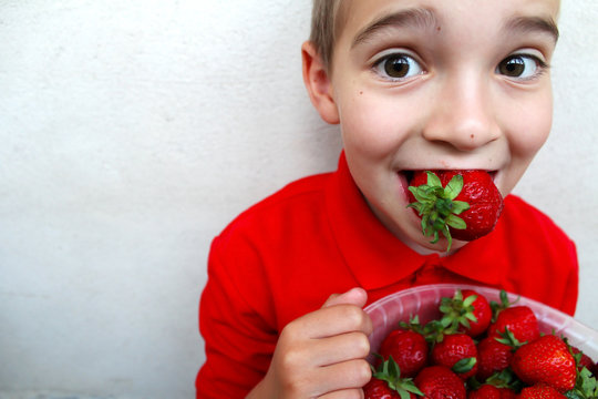 Funny young boy eating a ripe strawberry.