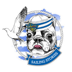 French bulldog portrait in a sailor's cap and with seagull on blue striped background. Vector illustration.