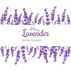 Lavender Card with flowers. Vintage Label with provence violet lavender.