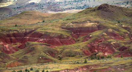 The Landscape of John Day Fossil Beds National Monument