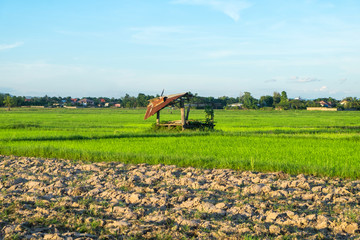 Fototapeta premium Green rice field with mountains at time sunset.
