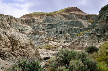 Fototapeta na wymiar Blue Painted Landscape, John Day Fossil Beds National Monument