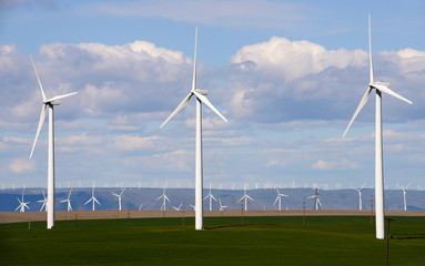 Windmill Farm