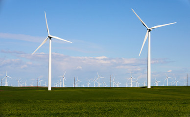 Fototapeta premium Windmill Farm