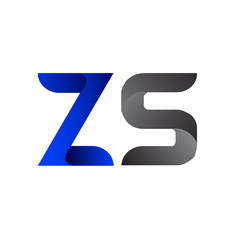 Modern Simple Initial Logo Vector Blue Grey ZS