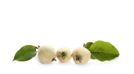 Young quince with twig and leaves isolated on white background