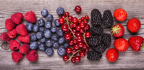 frutti di bosco,still life