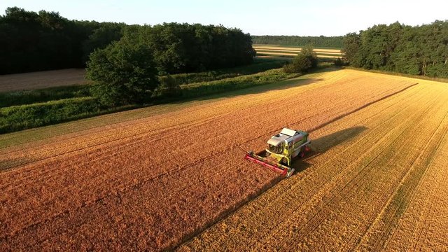 Harvesting crop at golden hour aerial view 4K