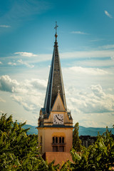Catholic church clock tower  among tree crowns