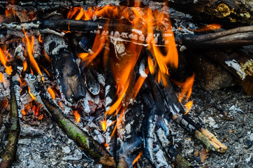 Close-up photo of the camp fire