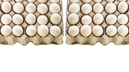 Duck eggs in paper tray isolated on white background