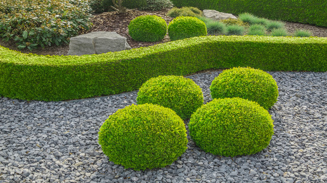 Kleiner Ziergarten mit kugelförmig geschnittenen Büschen Felsen und Hecke - Small ornamental garden with spherical shaped globular bushes and hedges