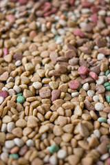 Dry pet food background.