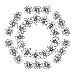 circular frame deoration floral vector illustration design