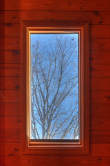 A bare tree and clear sky outside the window in a wooden roof in sunny autumn day