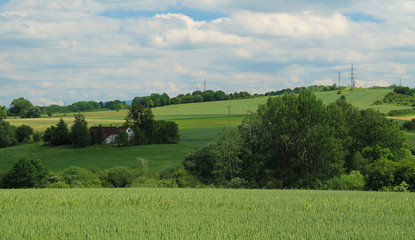 Fototapeta na wymiar rural landscape with fields and groups of trees in summer