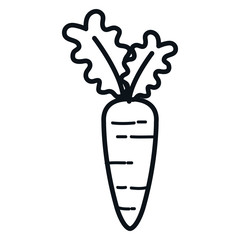 carrot fresh vegetable icon vector illustration design