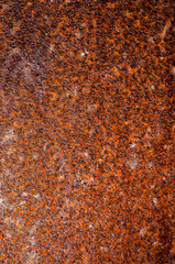 corrosion of the metal