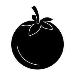 tomato fresh vegetable icon vector illustration design