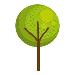 tree plant isolated icon vector illustration design