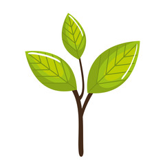 leafs plant ecology icon vector illustration design