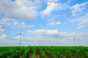 Wind turbine farm with blue sky, wind mill view, Green energy, Nature energy, Alternative power - 161891063