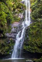 Cachoeira na floresta.