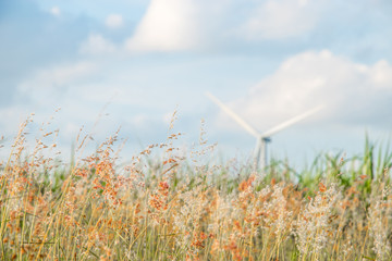 Blurred natural background, Blurred grass and wind turbines background - 161891091
