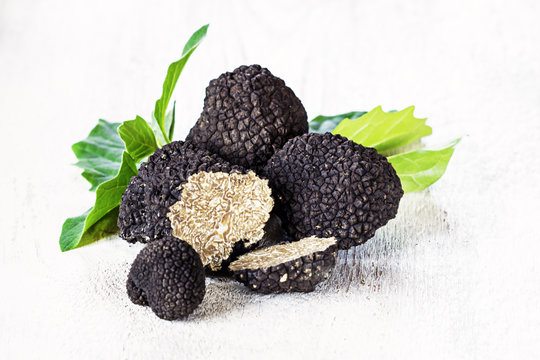 Black truffles on white background. Copy space.