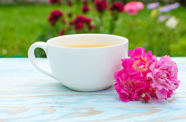 Fragrant hot tea roses