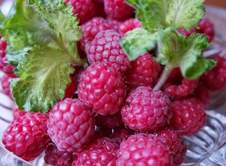 The first fragrant raspberry