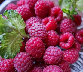 The first fragrant raspberry