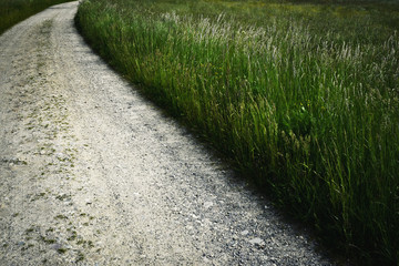 A stone path on the edge of the meadow