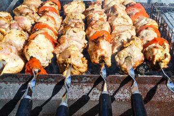 Meat of pork, made as a shish kebab on a picnic in the open air