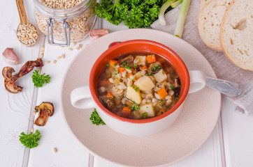 Vegan soup with pearl barley, vegetables and mushrooms