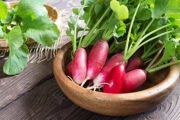 Fresh fragrant herbs spices parsley onion dill pepper bay leaf and juicy ripe radish vegetables. The concept of healthy nutrition and vegetarianism