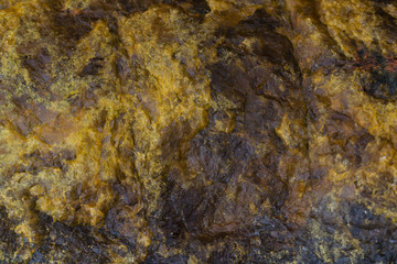 The texture of the stone closely photographed.