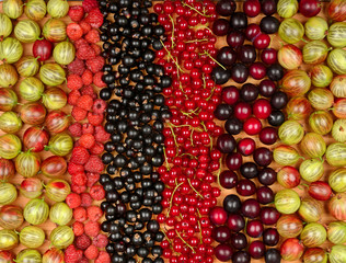 Collection of variety fruits (currants, gooseberries, raspberries, plums). Fruit background.